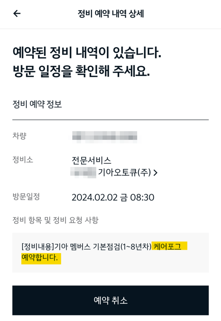 케어포그 예약